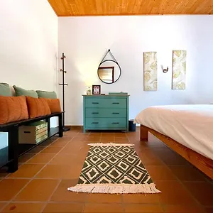 https://casa-adassa.in-canary-islands.com